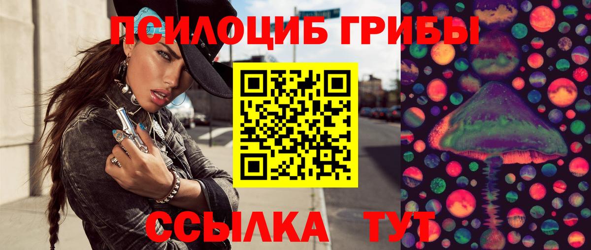 Галлюциногенные грибы Psilocybe  Псилоцибиновые грибы прущие грибы  Вход с VPN  Дзержинский 